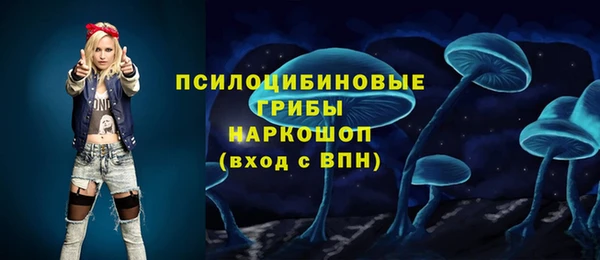 мдпв Нефтекумск