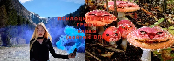 Альфа ПВП Нея