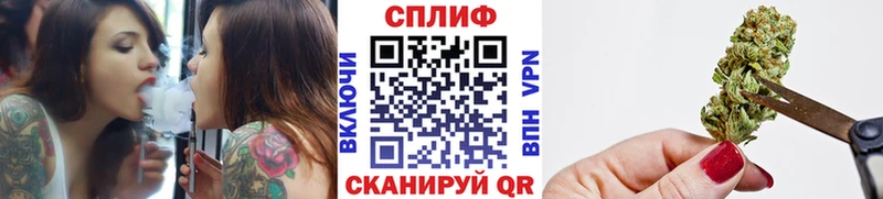 Конопля гибрид  Зубцов 